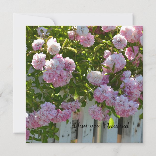 Invitation Anniversaire des roses roses roses (Devant)