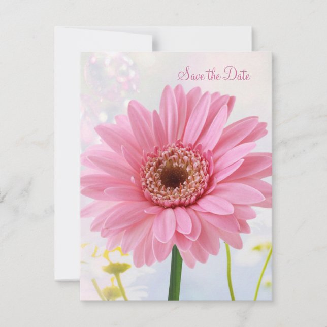 Invitation Annonce de sauvegarde de date - Gerbera rose (Devant)