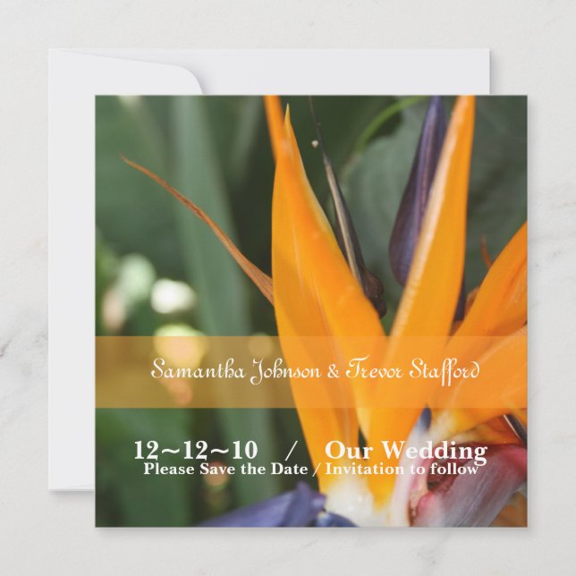 Invitation Annonces de Mariages pour l'oiseau tropical du par (Devant)