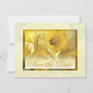 Invitation Annonces Narcisse