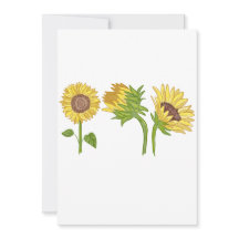 Aquarelle Fleur de tournesol peinte à la main