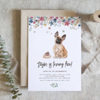 Aquarelle French Buldog Chien fête d'anniversaire
