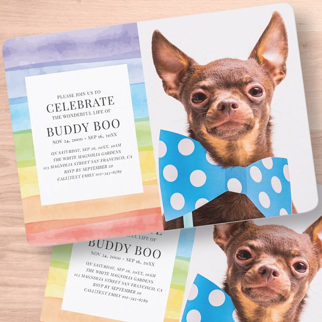 Invitation Aquarelle moderne Rainbow Strips Pet Memorial (Créateur téléchargé)