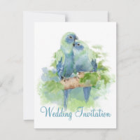 Aquarelle Perroquet Bleu Tropical Oiseaux Mariage