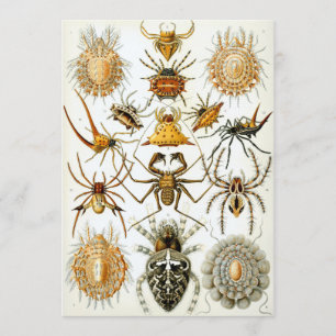 Invitation Araignées