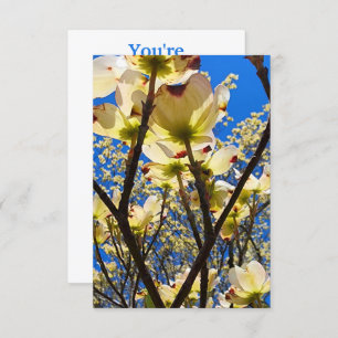 Invitation Arbre à chiens