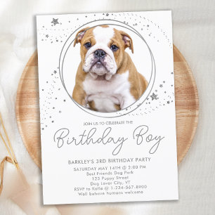 Invitation Argent Stars Personnalisé Animaux de compagnie Pho