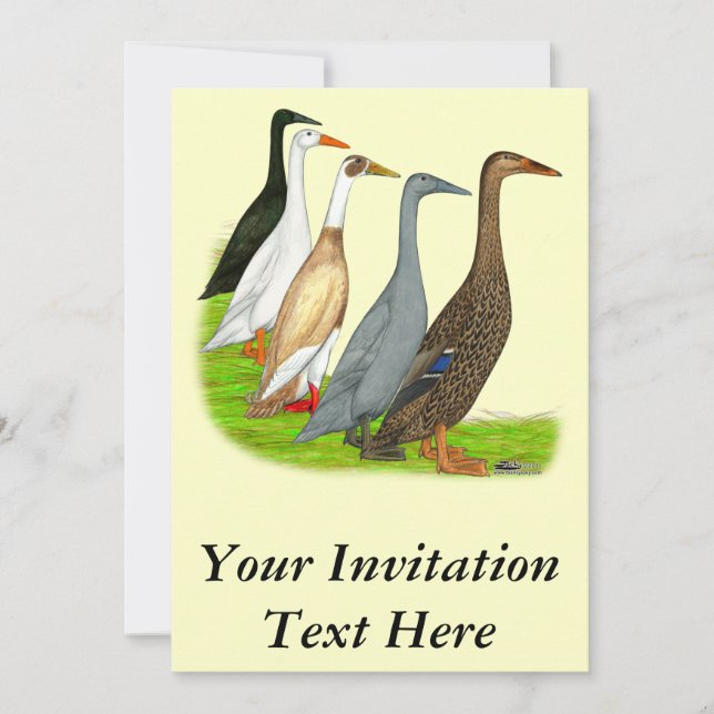 Invitation Assortiment de canard coureur (Devant)