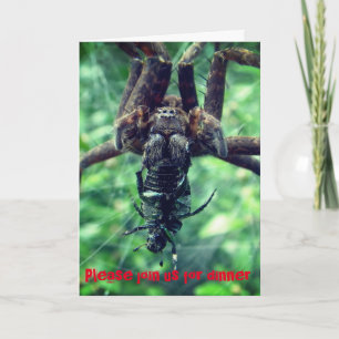 Invitation au dîner d'Halloween Spider