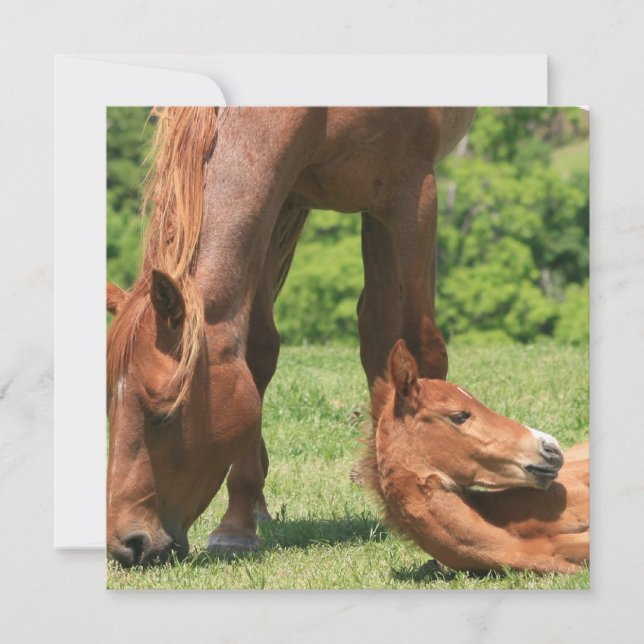 Invitation au mariage et au Colt (Devant)