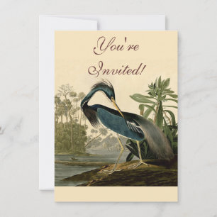 Invitation Audubon Louisiana Heron Birds America Art