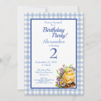 Baby Chick Boys Blue Anniversaire Party