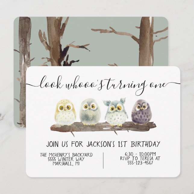 Invitation Baby Owl Birthday (Devant / Derrière)