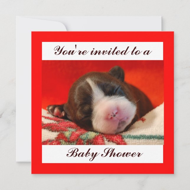 Invitation Baby shower (Devant)