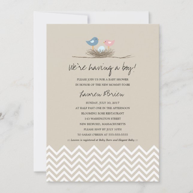 Invitation Baby shower de nid pour bébé garçon Oiseau (Devant)