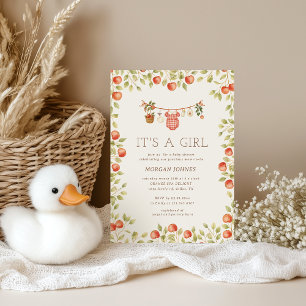 Invitation Baby Shower Linge de Bébé de Ferme