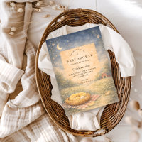 Baby Shower Petite Poussin de Printemps