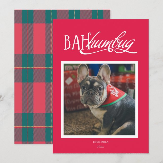 Invitation Bah Humbug Silly Pet Photo Holiday Card (Devant / Derrière)