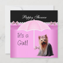 Bain de chiots Chien mignon rose Yorkie 2