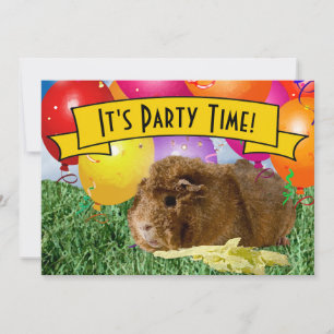 Invitation Ballons de cochons d'Inde pour la 2ème fête d'anni