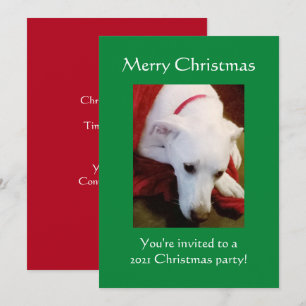Invitation Beau Chien blanc neigeux Chien vert Noël