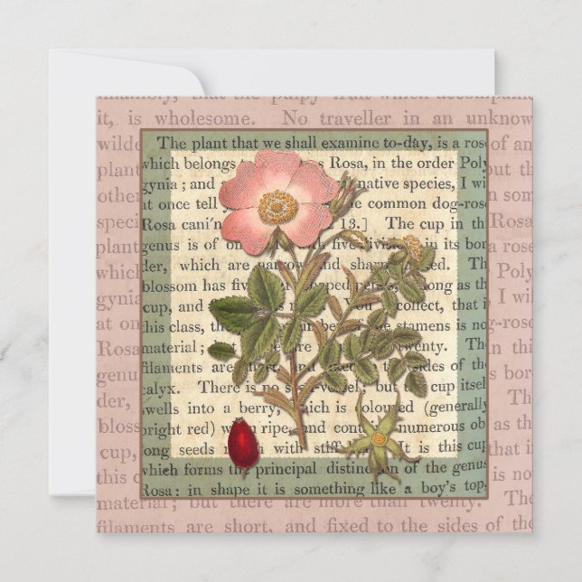 Invitation Belle Antique Rose Jardin Partie Vintage (Devant)