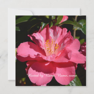 Invitation belle fleur de camélia rose toute la fête