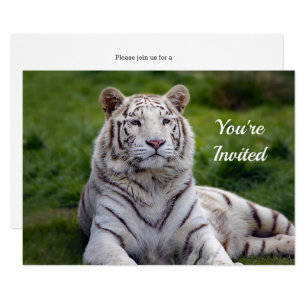 Invitations Faire Part Cartes Anniversaire Tigre Grandes Zazzle Ca