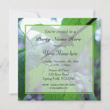 belles feuilles vertes fraîches de printemps toute