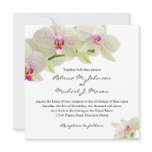 Belles orchidées blanches et roses chaudes