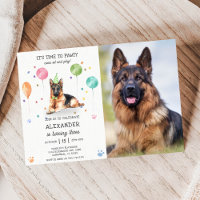 Berger allemand Pawty Chiot Anniversaire rose Phot