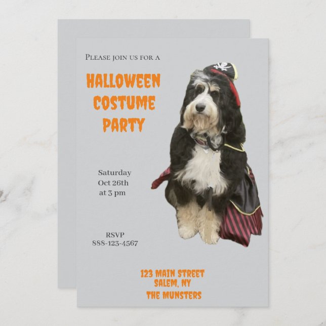 Invitation Bernedoodle Chien dans Pirate Halloween Costume Pa (Devant / Derrière)