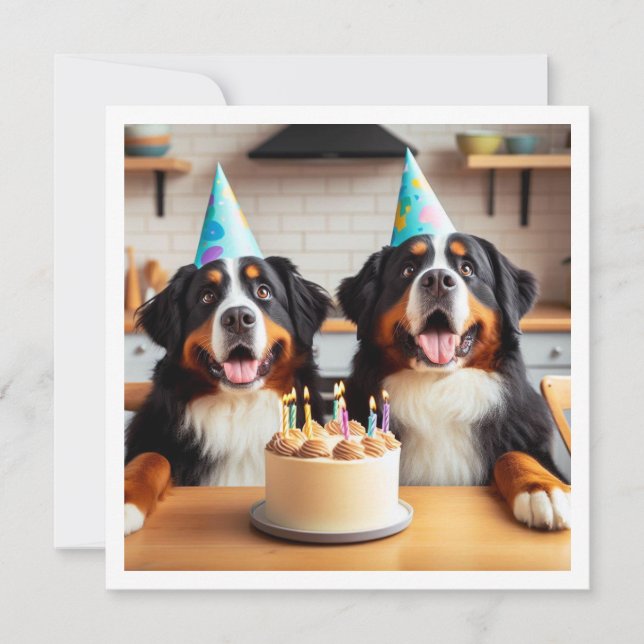 Invitation Bernese Mountain chien invitation, Chien anniversa (Devant)