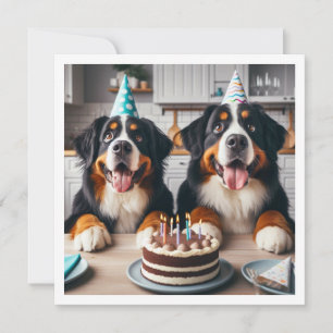 Invitation Bernese Mountain chien invitation, Chien anniversa