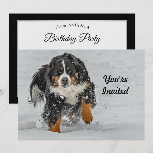 Invitation Bernese Mountain Dog photo Neige Anniversaire (Devant / Derrière)