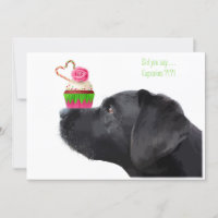 Black Lab Dog & Cupcake - fête d'anniversaire Amou