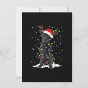 Invitation Black Lab Labrador Christmas Tree Light Pajama Dog