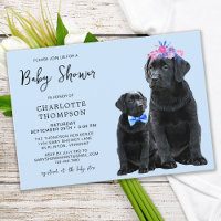 Black Labrador Retriever Chien Chien Chien Chiot B