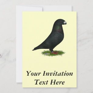 Invitation Black Show Racer
