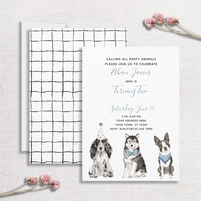 Invitation Black White Blue Dog Boy's 2nd Birthday Party (Créateur téléchargé)
