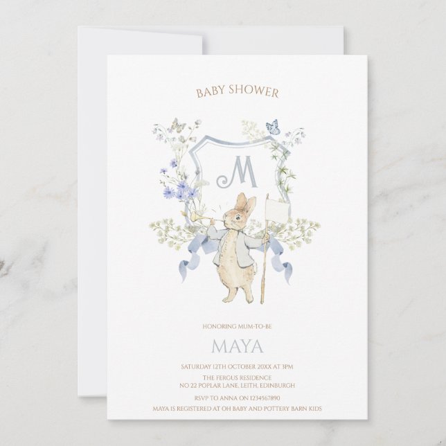 Invitation Bleu En vichy Peter le Baby shower Rabbit MUTED BL (Devant)