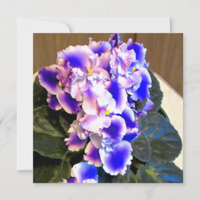 Invitation Bleu violet africain (Devant)