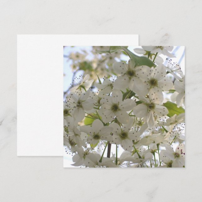 Invitation - Blooming Bradford Pear (Front/Back)
