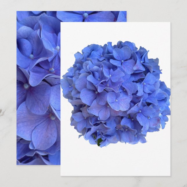 Invitation Blue periwinkel élégantes hydrangées florales (Devant / Derrière)