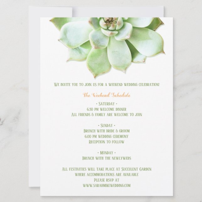 Invitation Boîtier d'itinéraire Mariage Succulent de printemp (Devant)
