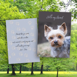 Invitation Bonjour Penser à vous Terrier Greeting Card
