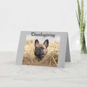 Invitation Bouledogue français de Thanksgiving