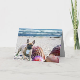 Invitation Bouledogue français vacances d'été