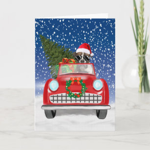 Invitation Boxer Chien Conduite Voiture En Noël De Neige