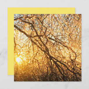Invitation branches de glace au coucher du soleil